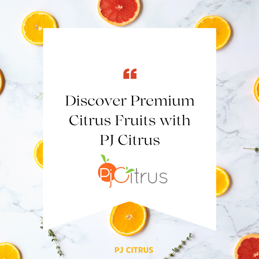 Discover Premium Citrus Fruits - Wholesale Citrus Supplier